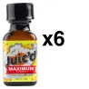 BGP Leather Cleaner JUIC'D MAXIMUM 24ml x6